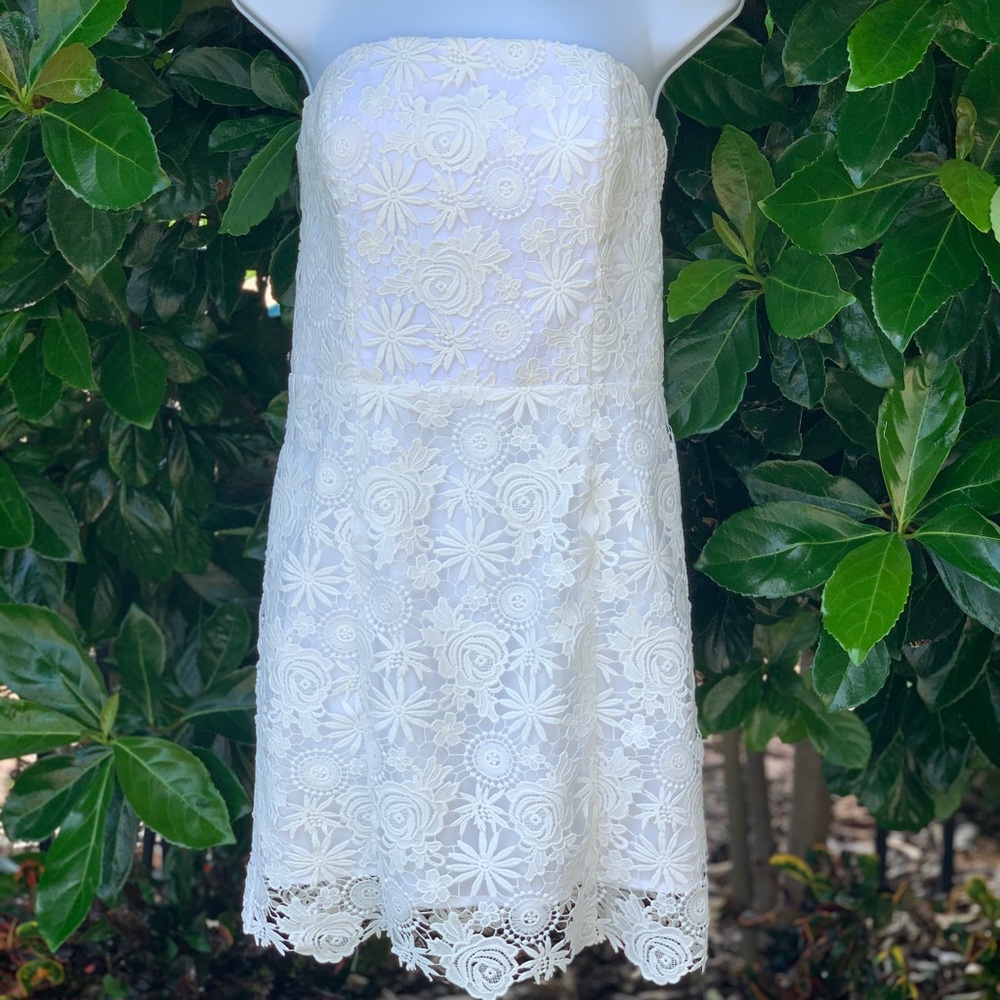 Amanda Uprichard Sample dress